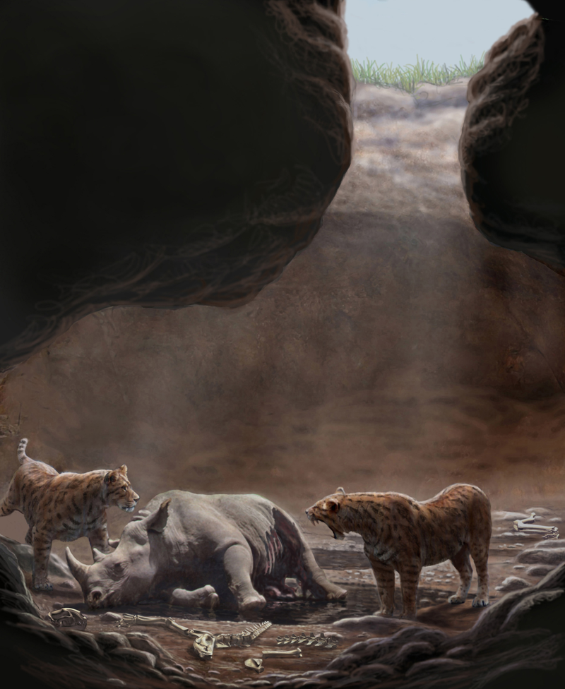 Illustration for article titled This mysterious cave was a deathtrap for thousands of years